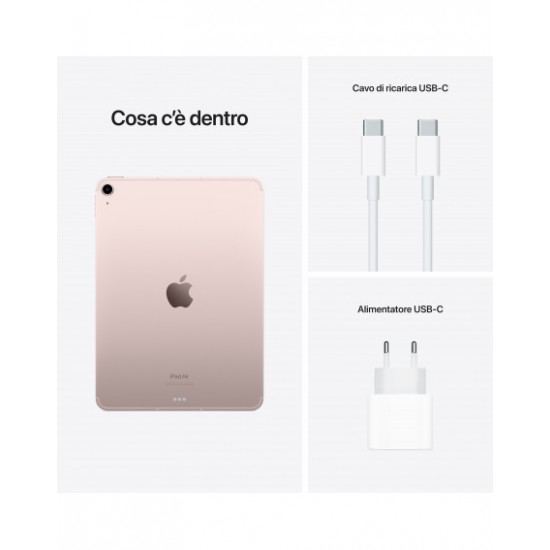 10.9-inch iPad Air Wi-Fi + Cellular 256GB - Rosa