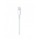 Cavo Lightning Apple USB (1M)